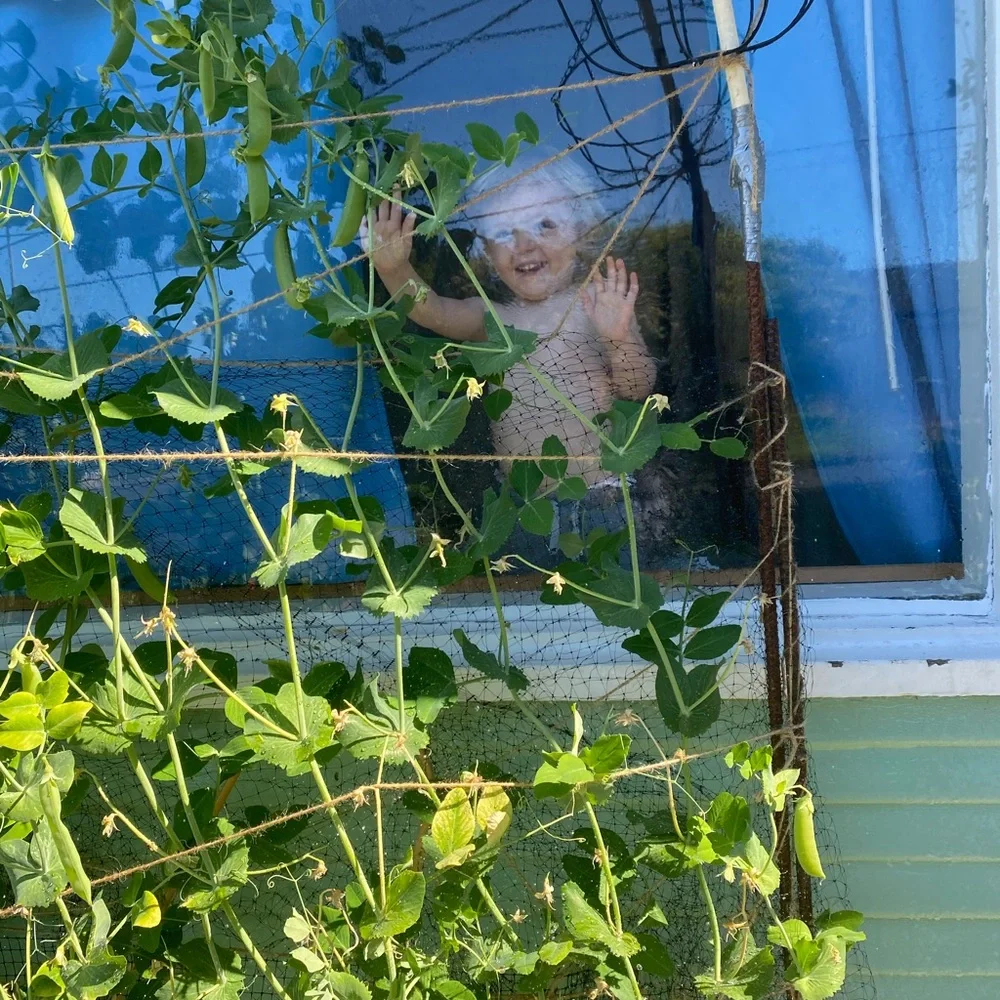 Share Show! Usually No Theme, Just Be Nice. Unlisted Items Too! @katyw12 - Picture 11 of 13